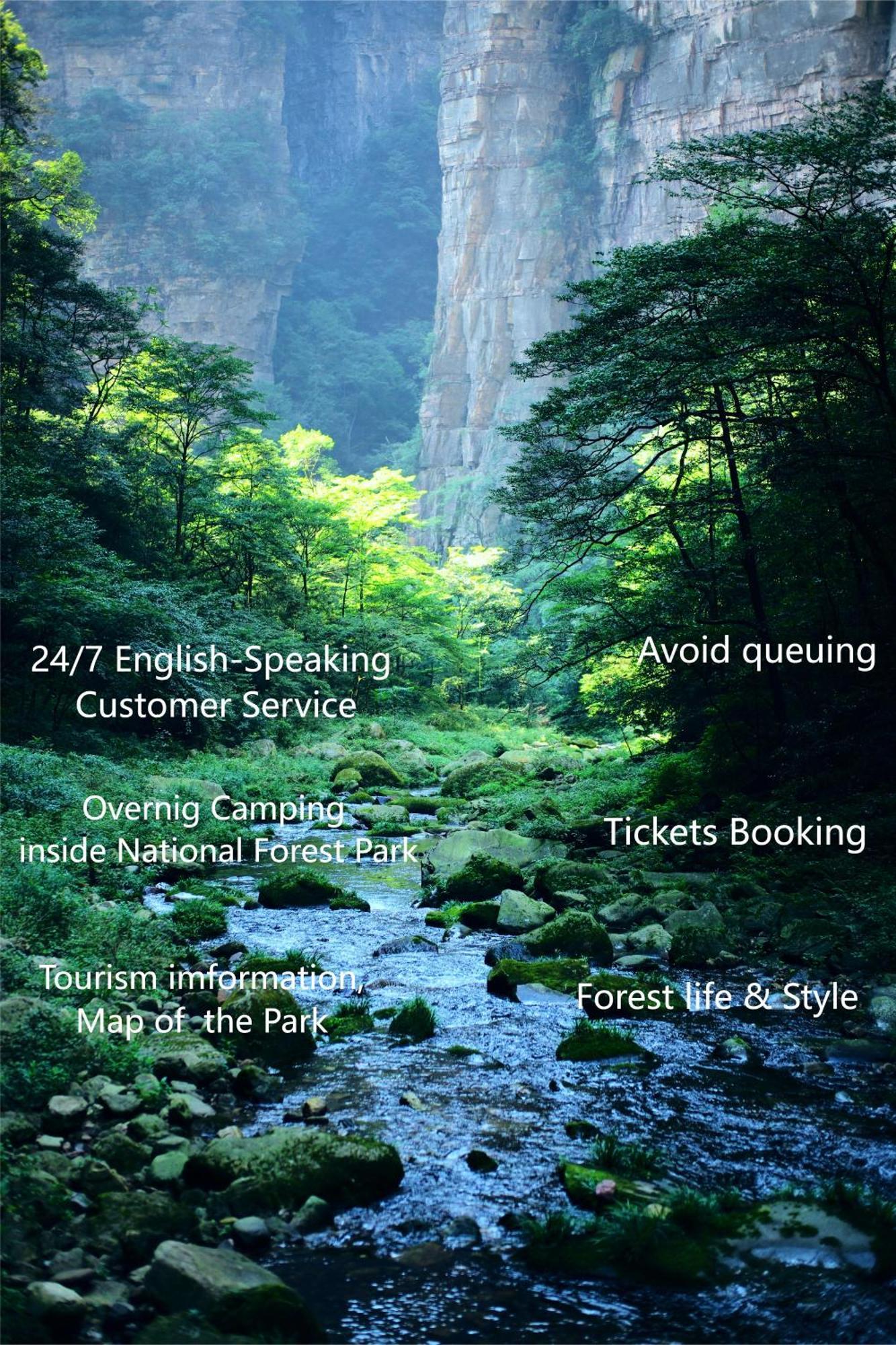 Zhangjiajie National Forest Park Camping Ngoại thất bức ảnh