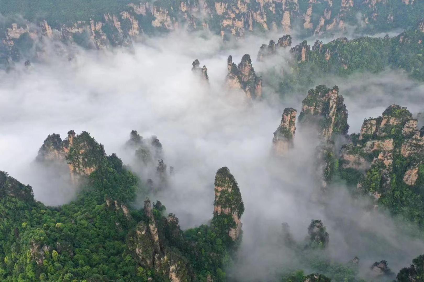 Zhangjiajie National Forest Park Camping Ngoại thất bức ảnh